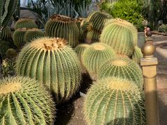-北京植物园-展览温室