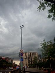 -广州市儿童公园