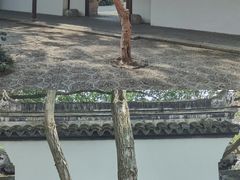 -上海醉白池公园