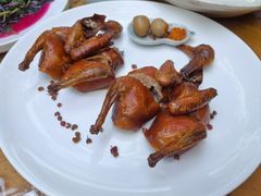 -院8里·小聚园老川菜(九眼桥店)