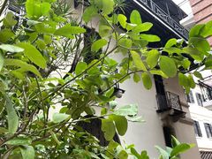 -大馆(前中区警署建築群)