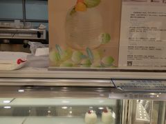-蒲公英(五里店)