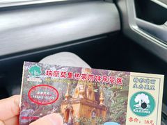 -莫里热带雨林景区
