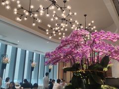 -花城苑广府菜(侨鑫店)