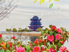 -阳澄湖半岛旅游度假区