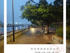 -陈根记大牌档