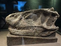 -自贡恐龙博物馆