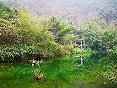 -紫云谷景区