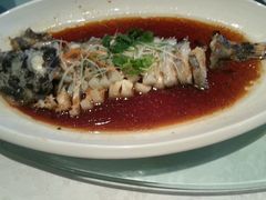 android_upload_pic-久宴·天目湖大鱼头(恐龙园店)
