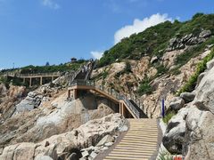 -广东惠东海龟国家级自然保护区
