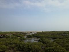 -北海金海湾红树林生态旅游区