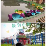 能划船能看小动物的乐园