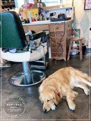 -Libertines barbershop 浪子理发店