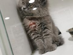 -乐宠宠物店(世纪金源店)