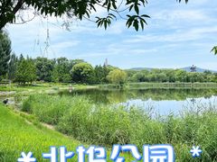 -北坞公园