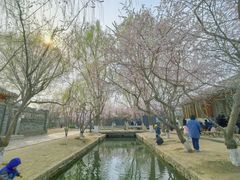 -春风习习