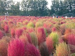 -汉长安城未央宫国家考古遗址公园