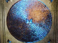 -上海昆虫博物馆