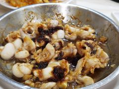 豉汁蒸鱼腩-中山脆肉鲩(新圳东路店)