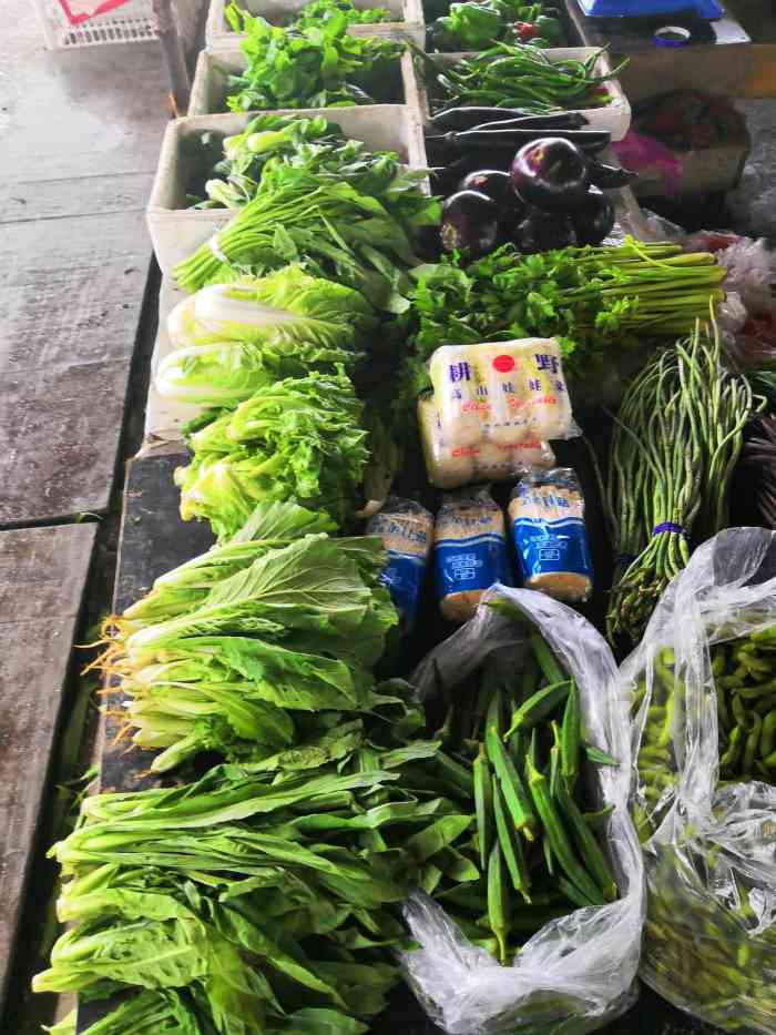 海鲜市场-"乳山海蛎子,全国人民都喜欢吃,肥肥胖胖,."-大众点评移动版