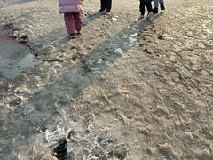-沈阳奥体冰雪嘉年华