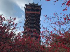 -塔子山公园