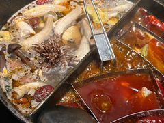 -大龙燚·旷野鲜火锅(广州首店)