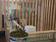 -桃源咖啡厅(武夷山大红袍山庄店)