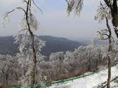-老山国家森林公园