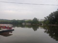 -二一九公园