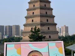 -御品轩(边家村店)