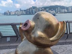 -星光大道