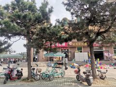 -日照海滨国家森林公园