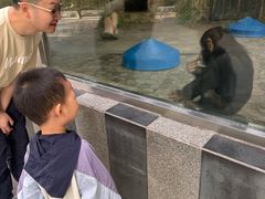-成都动物园