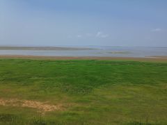 -鄱阳湖国家湿地公园