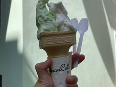 -柠檬车露(卖草地店)
