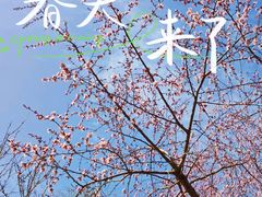 -南海子公园