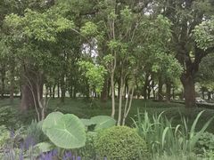 -陆家嘴中心绿地