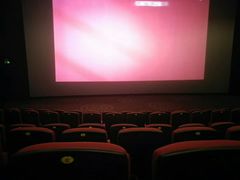 -万达影城(锦华万达广场IMAX店)