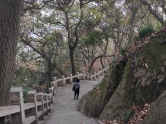 -灵岩山风景区