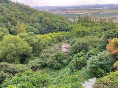 -宁波市保国寺古建筑博物馆