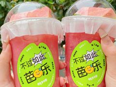 -伏小桃(明瓦廊店)