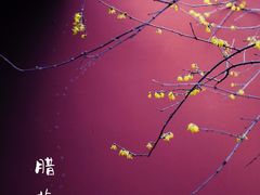 -钱王祠