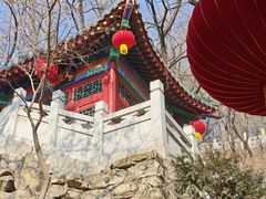 -高尔山公园