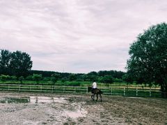 -月河湾马术俱乐部(朝阳店)