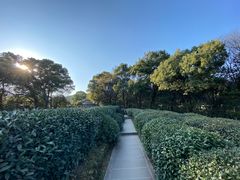 -西湖风景区十里琅珰-五云山