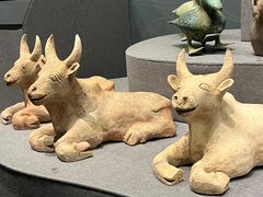 -广西壮族自治区博物馆