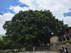 -福建土楼(南靖)景区