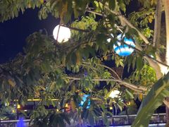 -茅草房·河畔园林火锅