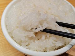 米饭-江渔儿酸菜鱼(映月湖环宇城店)